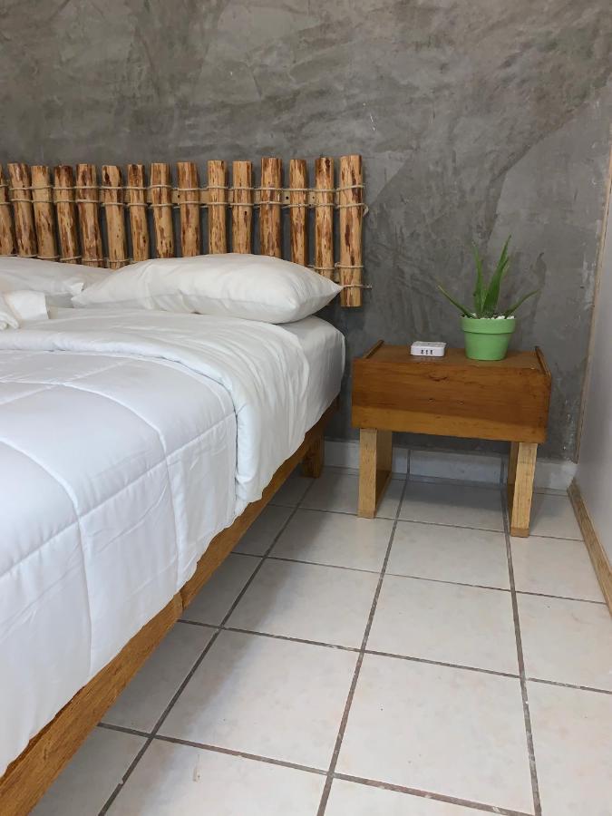 Desert Heart Hostel San José del Cabo Eksteriør bilde