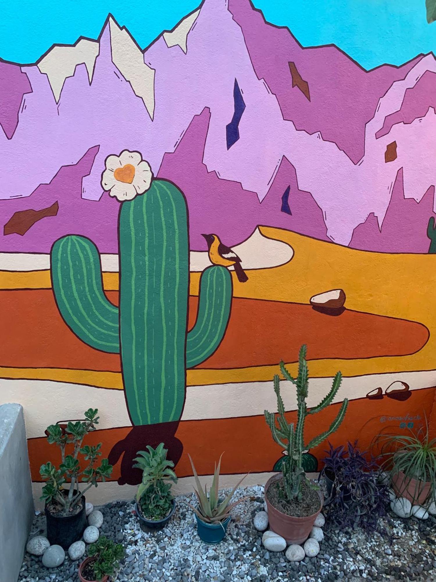 Desert Heart Hostel San José del Cabo Eksteriør bilde