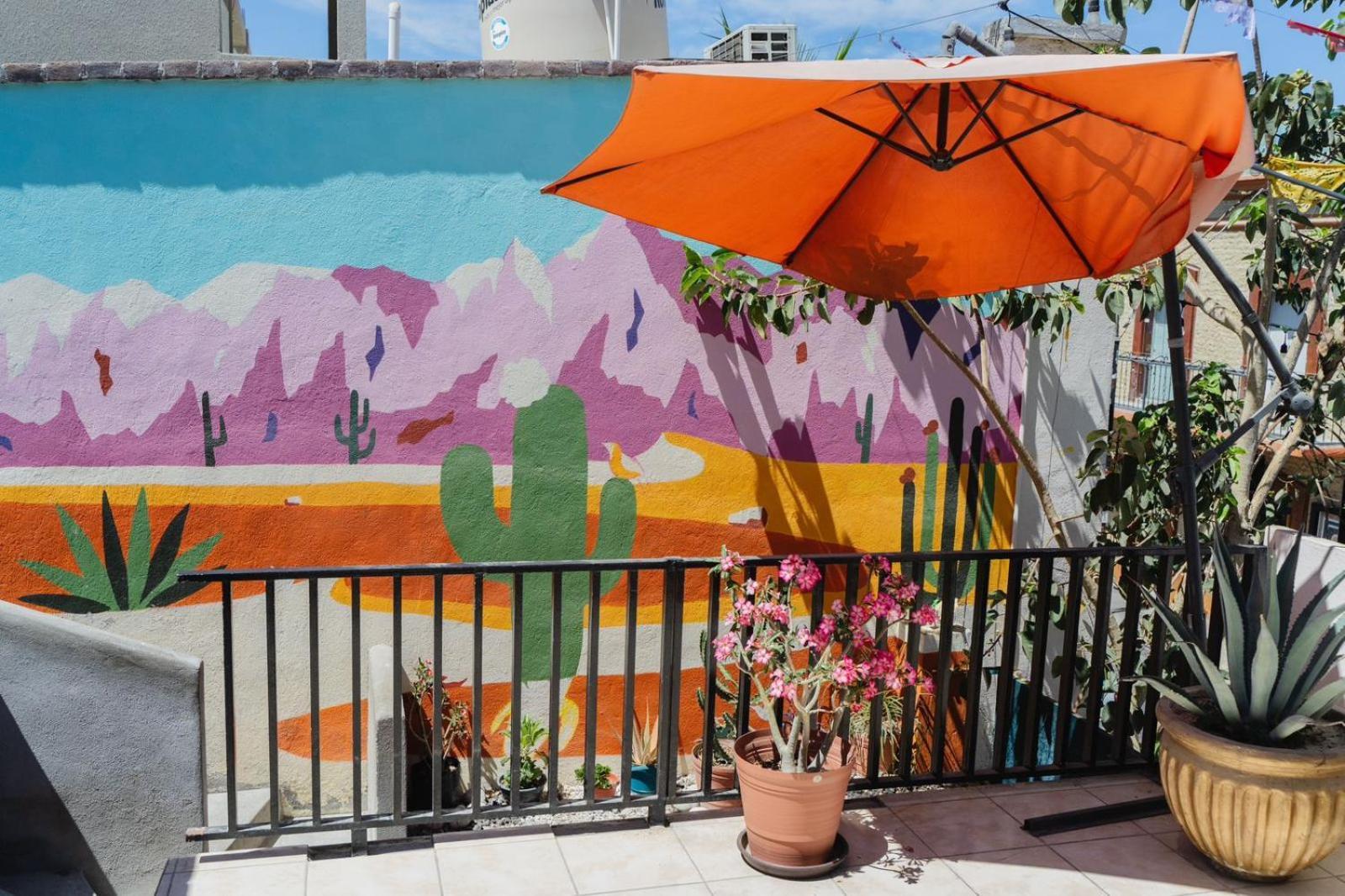 Desert Heart Hostel San José del Cabo Eksteriør bilde